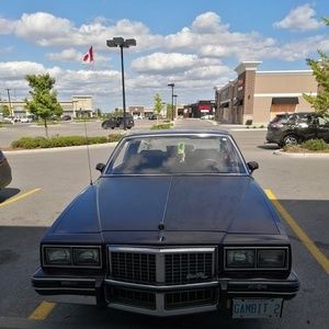 Meet your Posher, Timothy